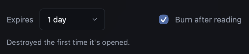 The Nullo expiry and burn-after-reading controls.